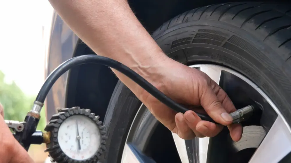 l-intro-1768399896827388