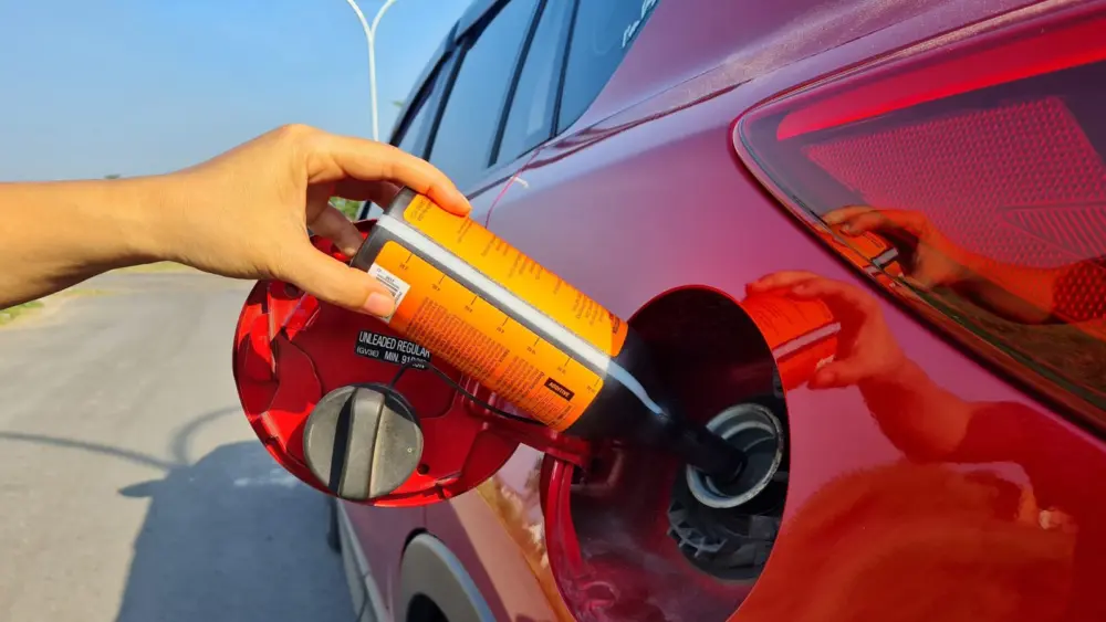 l-intro-1768926781562218