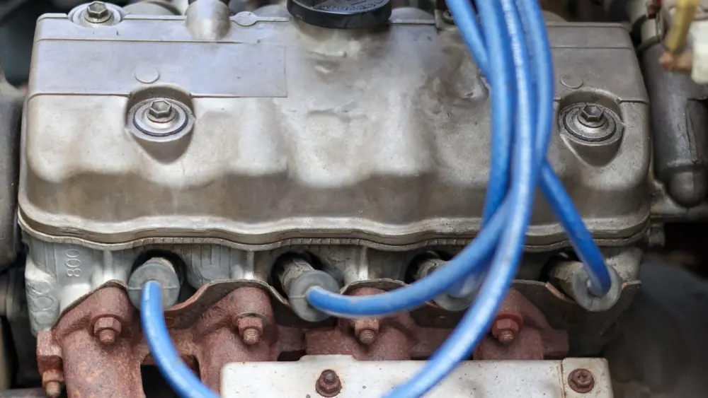 l-intro-1768950319569926