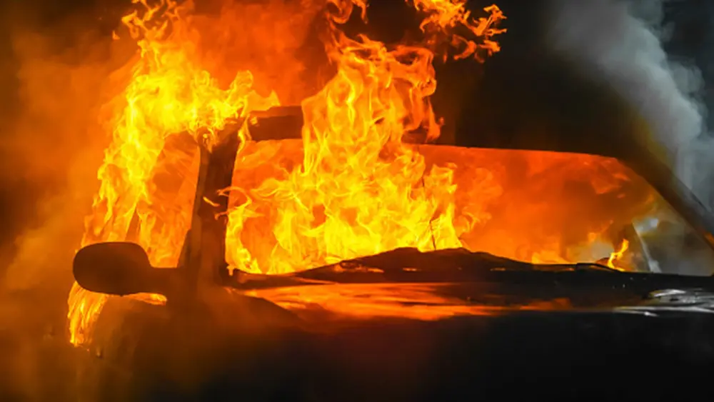 l-intro-1769638398824987