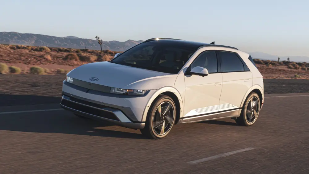 l-intro-1769543433633474