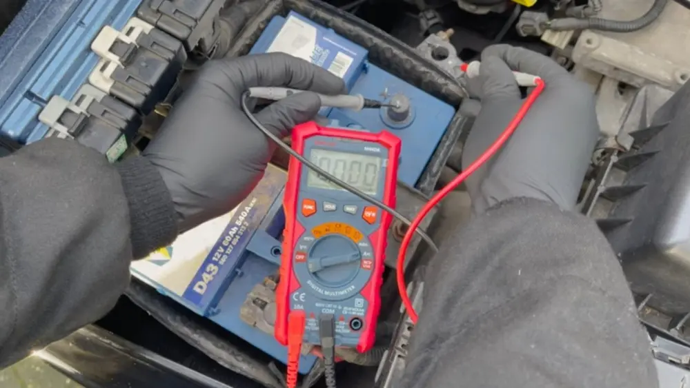 l-intro-1769553040289724