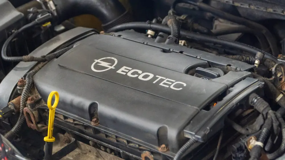 l-intro-1769791913160087