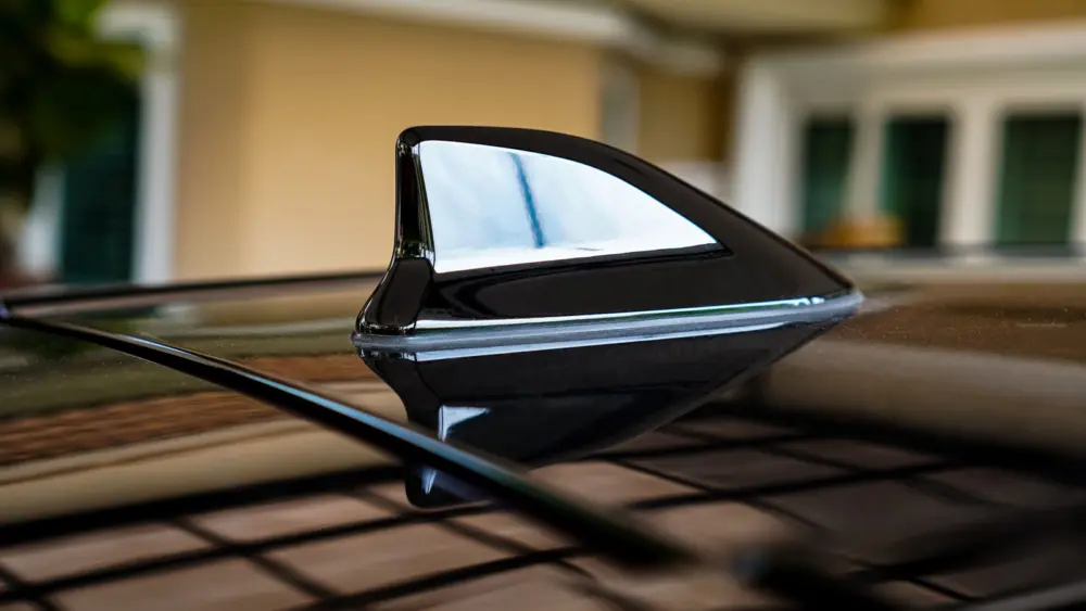 l-intro-1769597927704763