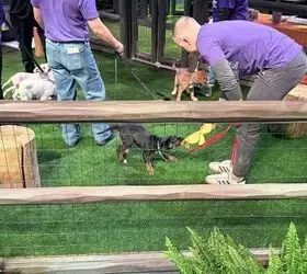 s-2026-chicago-auto-show-gallery457226