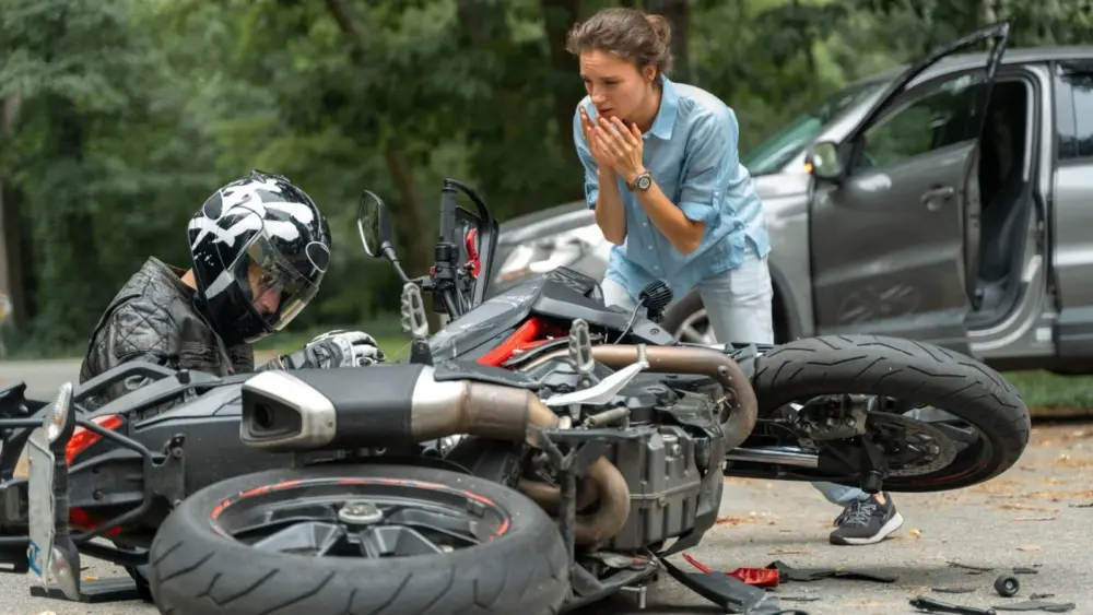 l-intro-1770053800262348