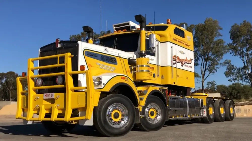 l-intro-1770052366400652