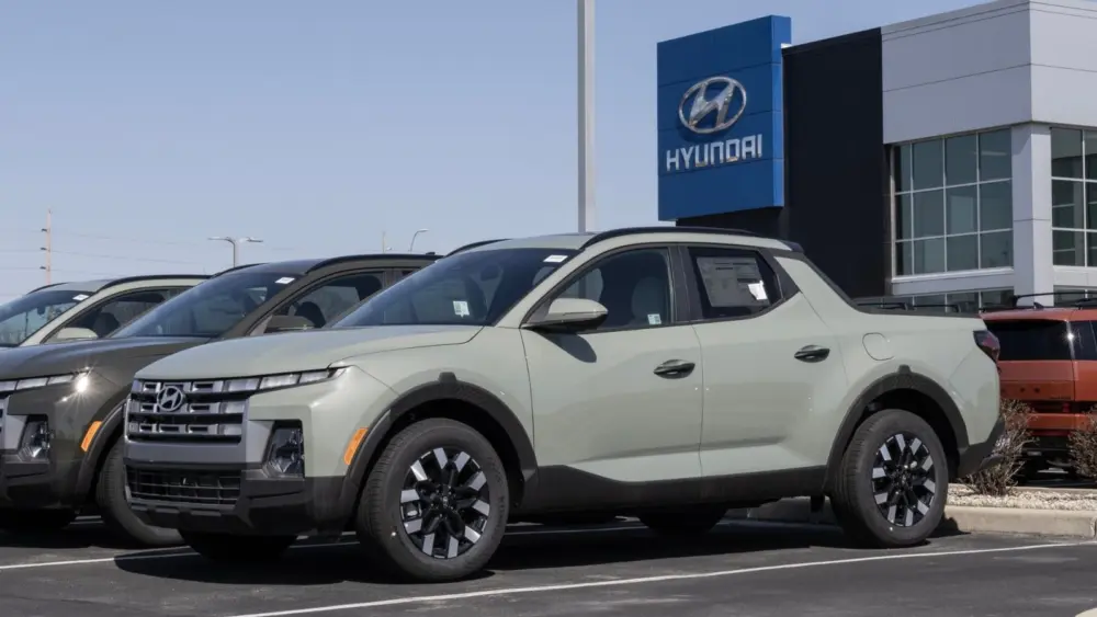 l-intro-1770152040432448