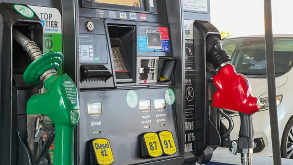 l-intro-1770299460435058