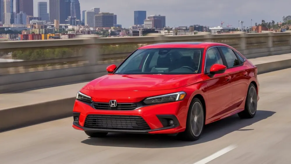 l-intro-1770918920500775