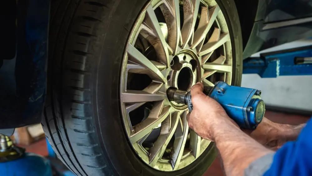 l-intro-1770666022653370