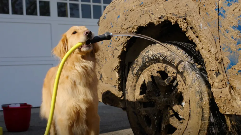 dogtested2025-handwash-keyframe-69921661281da