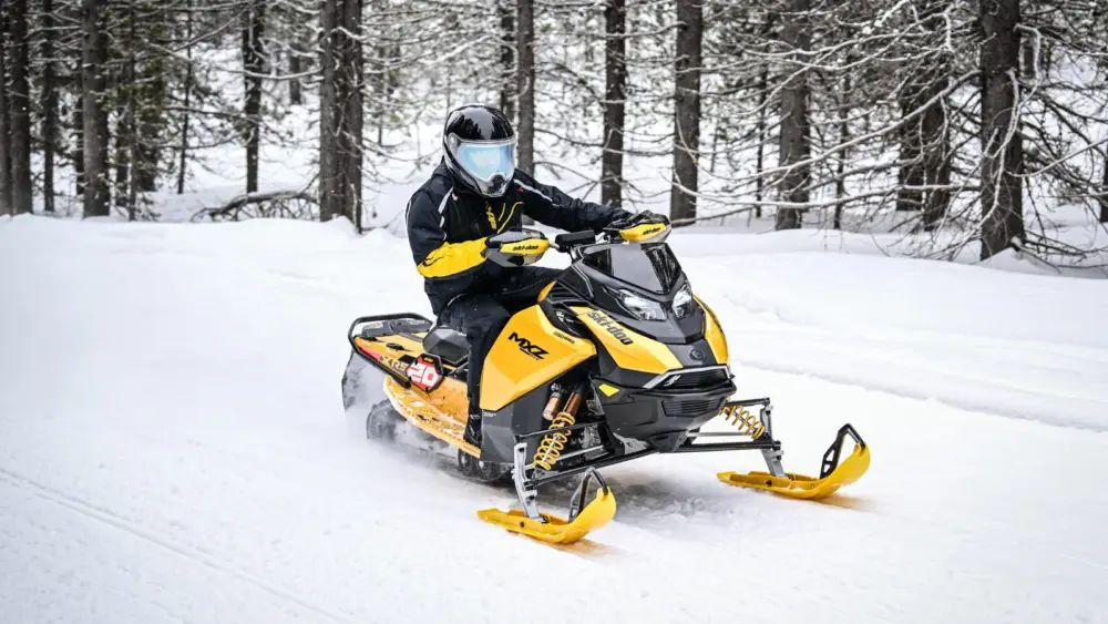 l-intro-1771437372211133