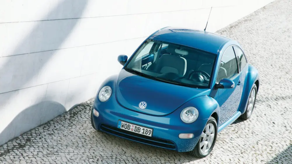 l-intro-1771420419953392