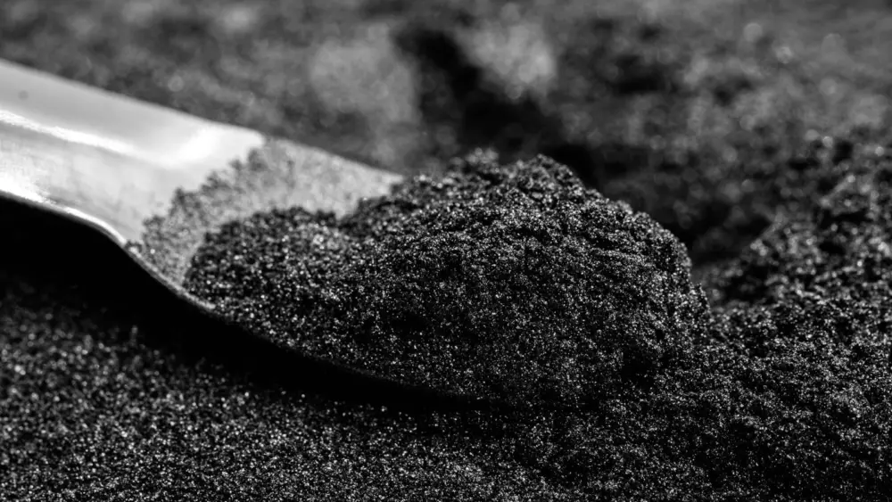 l-intro-1771439270120682