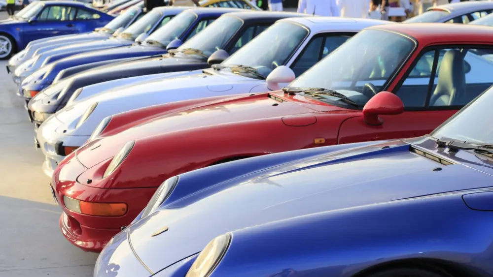 l-intro-1771439928787755