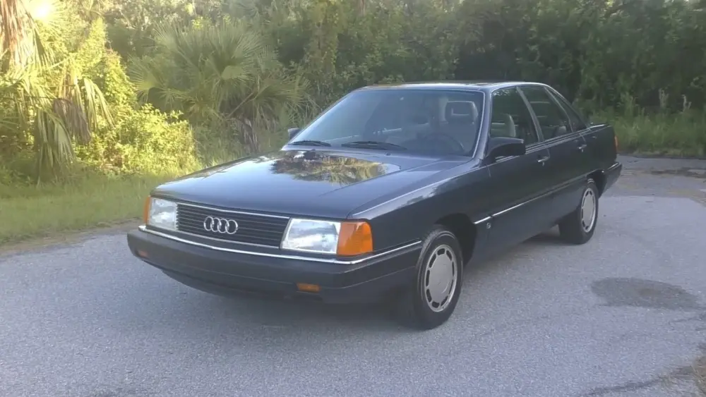 l-intro-1771446356378219