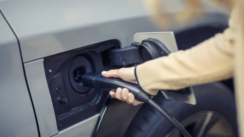 toyota_lexus_treehouse_04_small420105