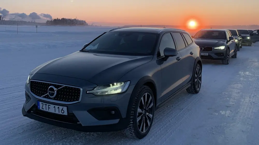 l-intro-1771939004672181