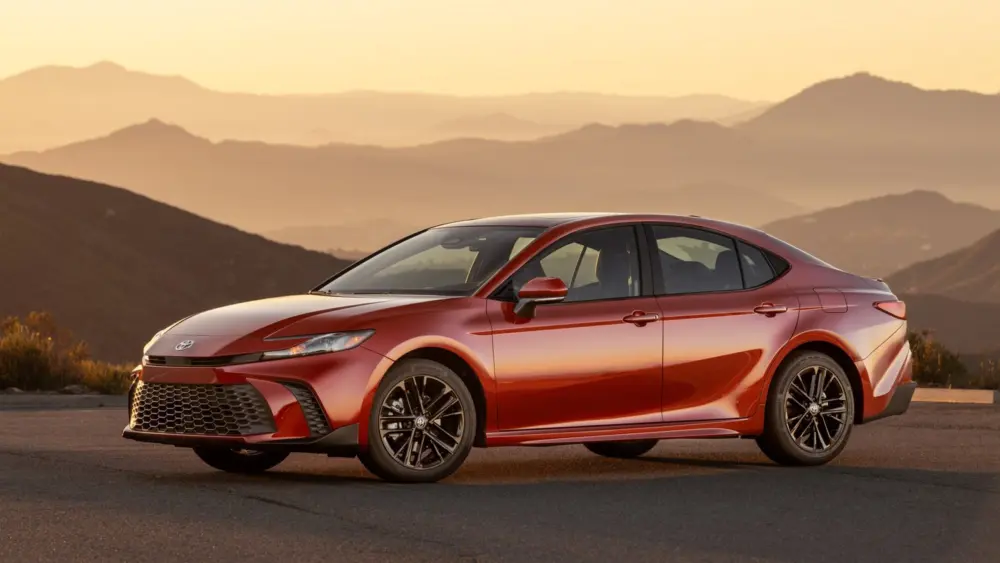 l-intro-1771862277232124