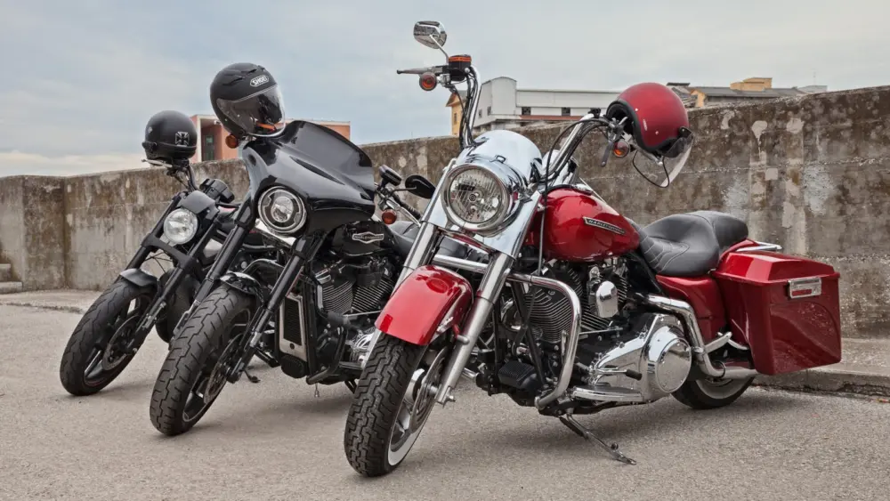 l-intro-1772125541704680