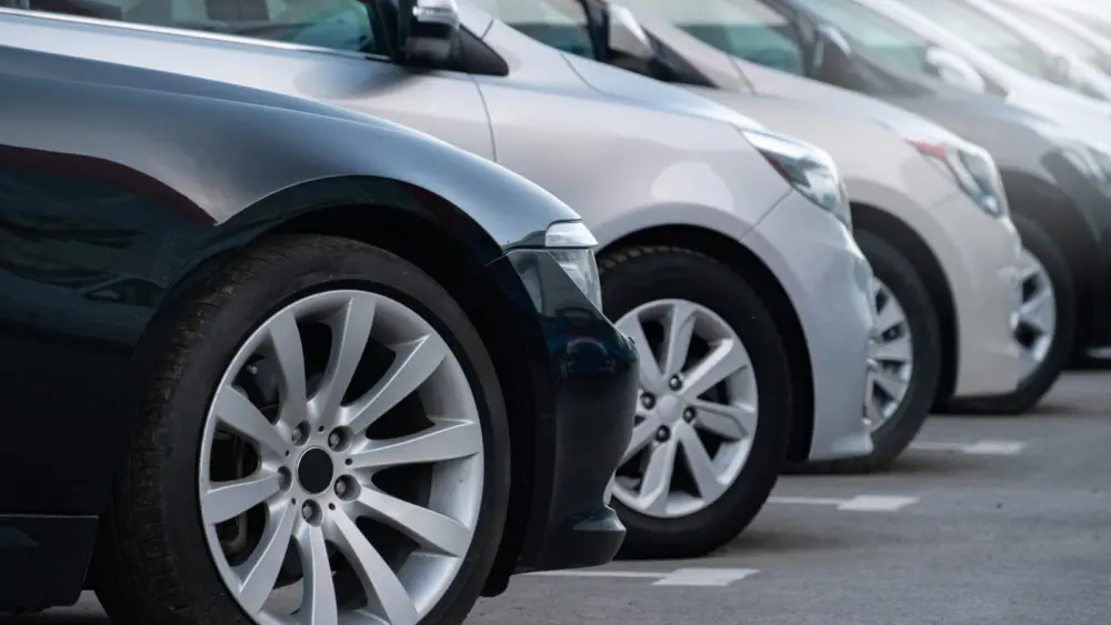 l-intro-1772483961950472