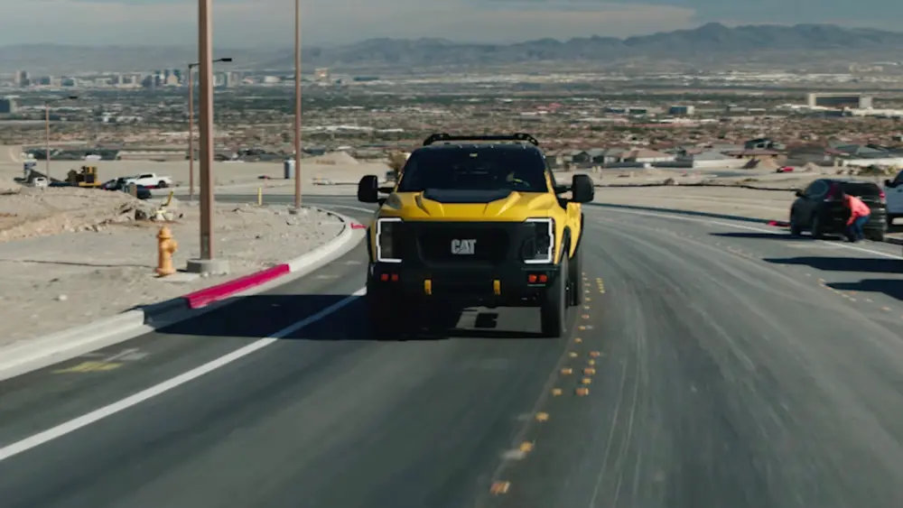 cat-pickup-69a7061a7ff0c