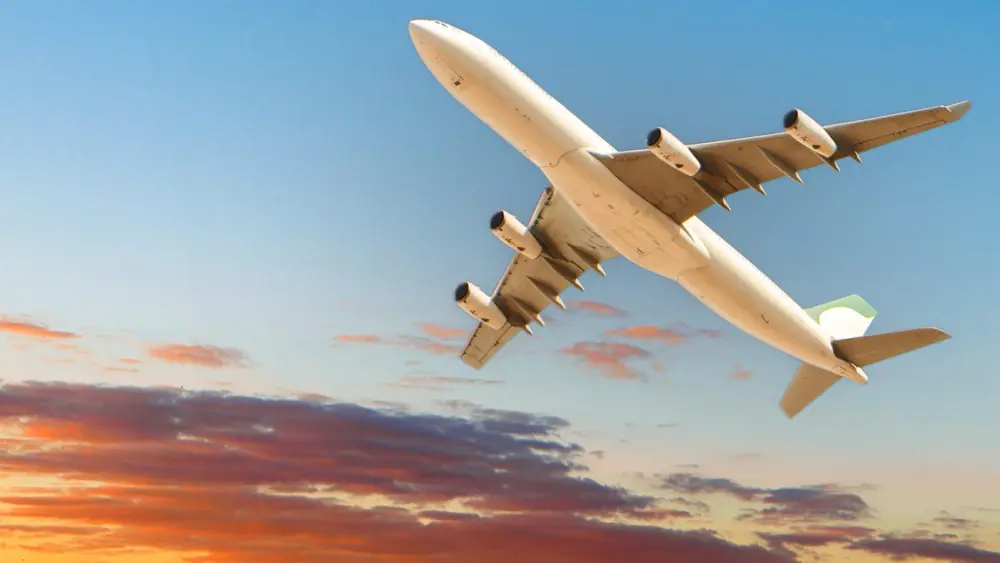 l-intro-1771864802159170