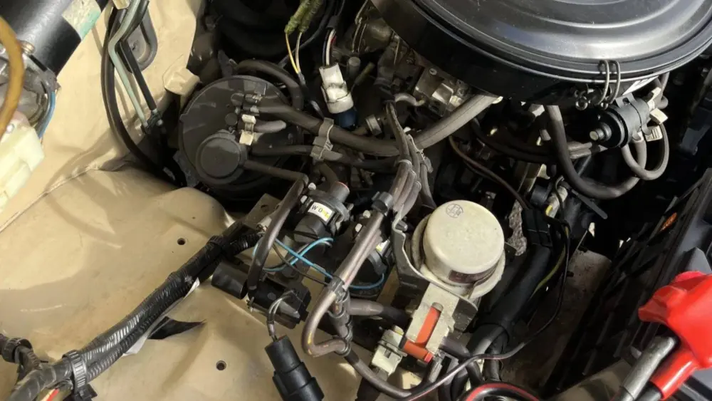 img_2709-39148-scaled540587