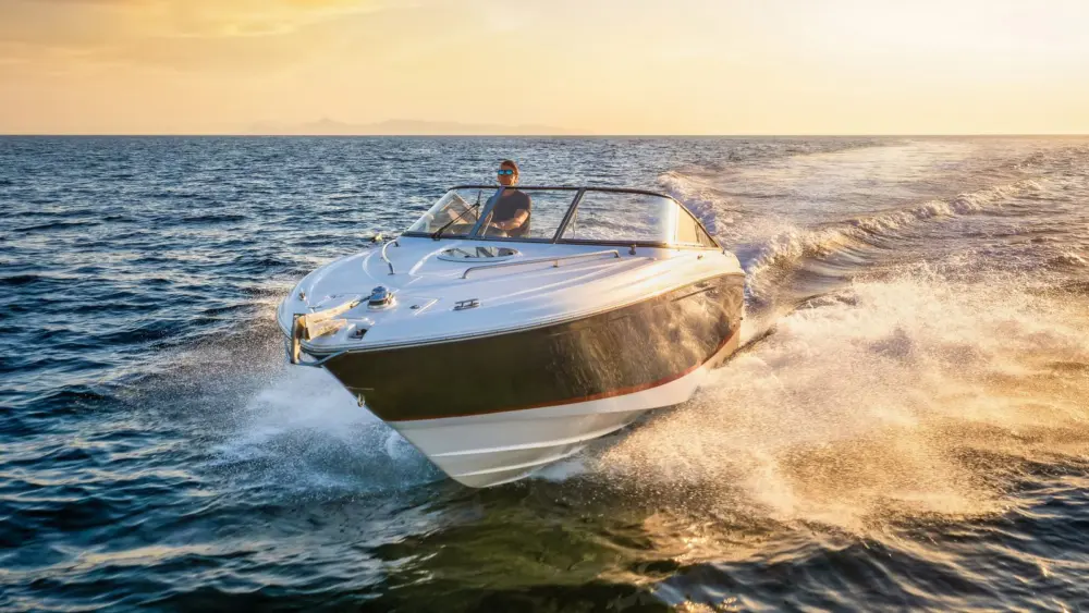 l-intro-1772661415425896