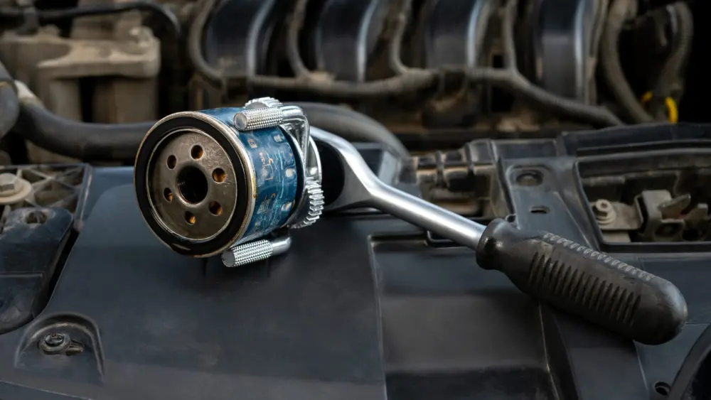 l-intro-1772715153369680