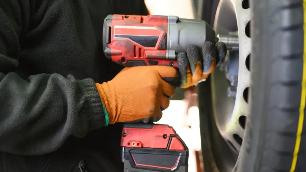 l-intro-1773072039550519