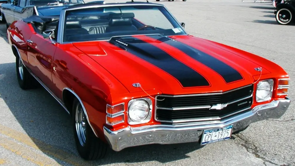 l-intro-1773079747450955