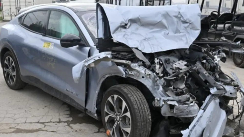 l-intro-1773326879441286