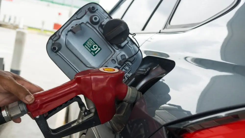 l-intro-1773441901118919