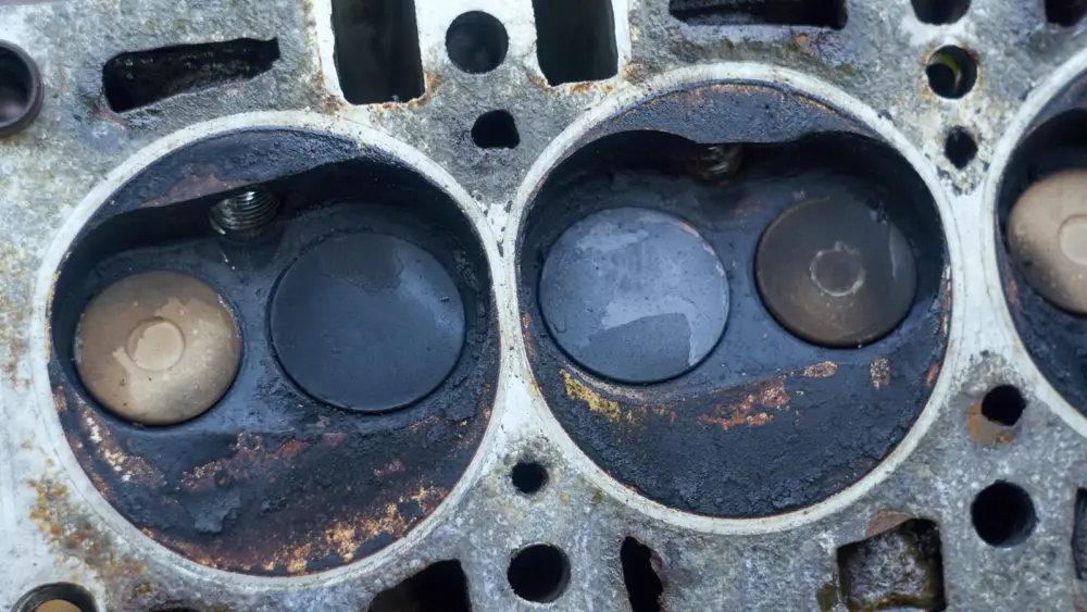 l-intro-1773319375265669