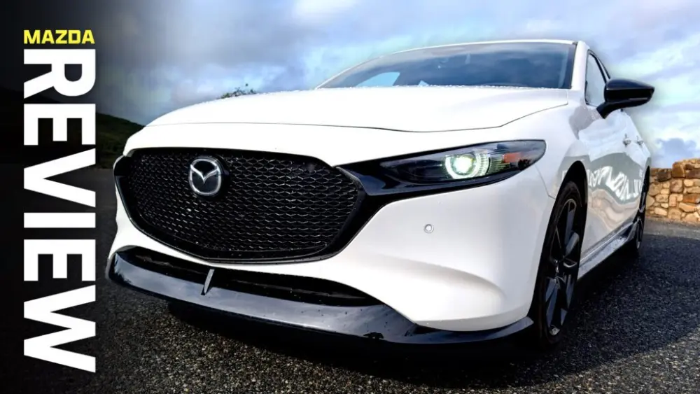 fr54cved-cv-1024x576311213-1