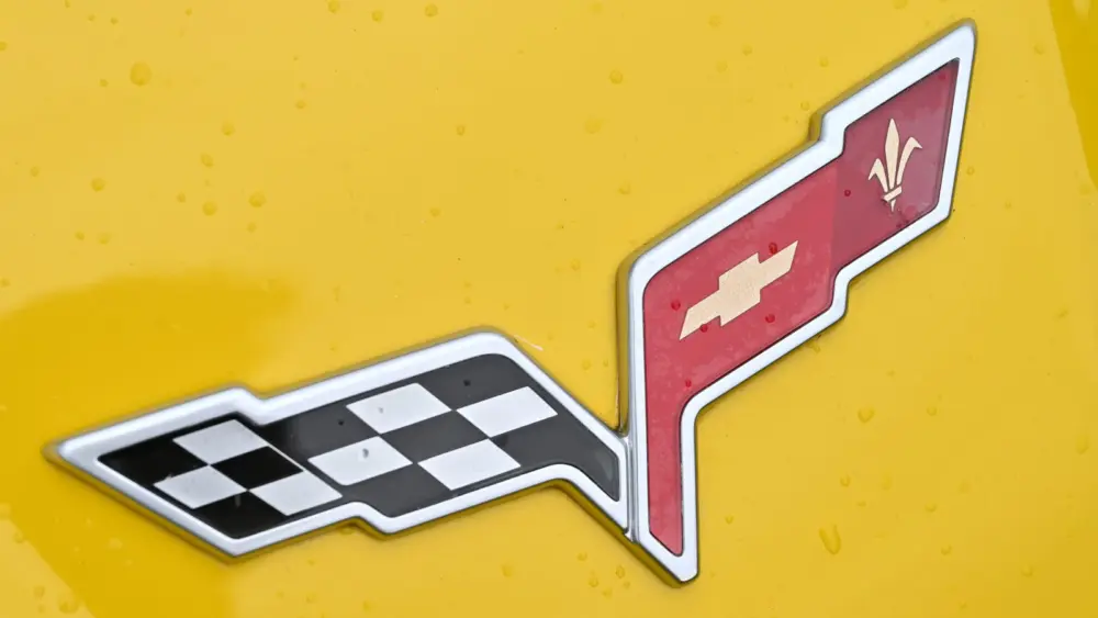 l-intro-1774014098559305