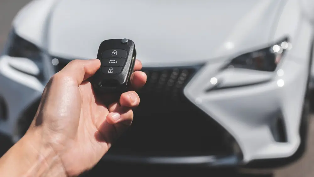 l-intro-1774293284578922