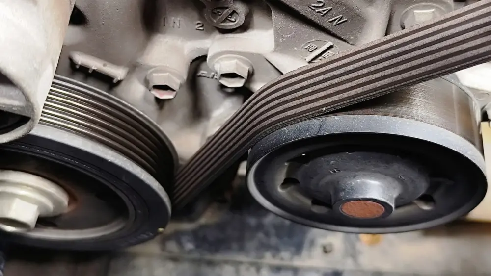 l-intro-1774354947330469