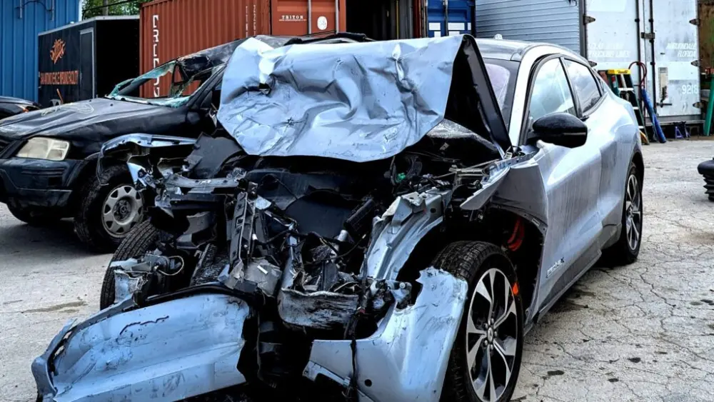 gvr54febd-c-1024x576345695-1