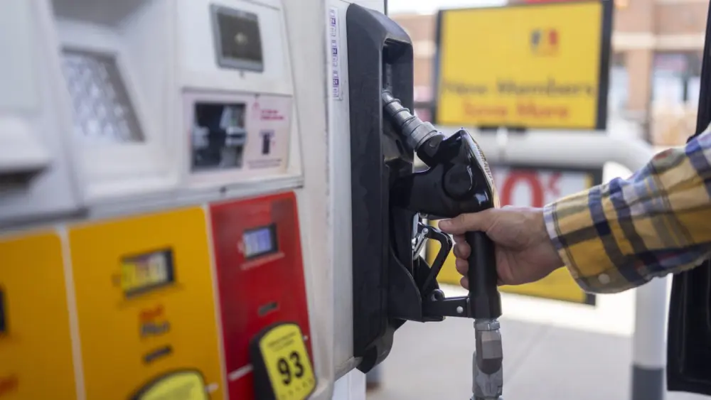 l-intro-1775479333689839