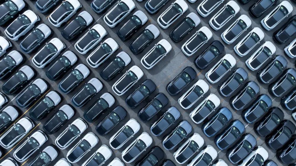 l-intro-1775499215895494