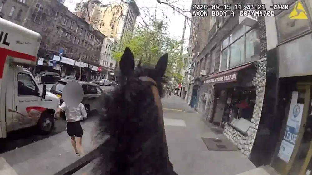 l-intro-1776437973910821