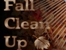 fall-clean-up