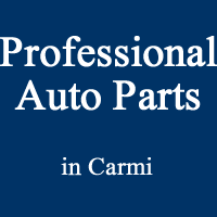 professional auto parts
