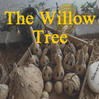 the willow tree