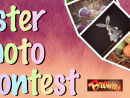 easter-photo-contest-wfiw