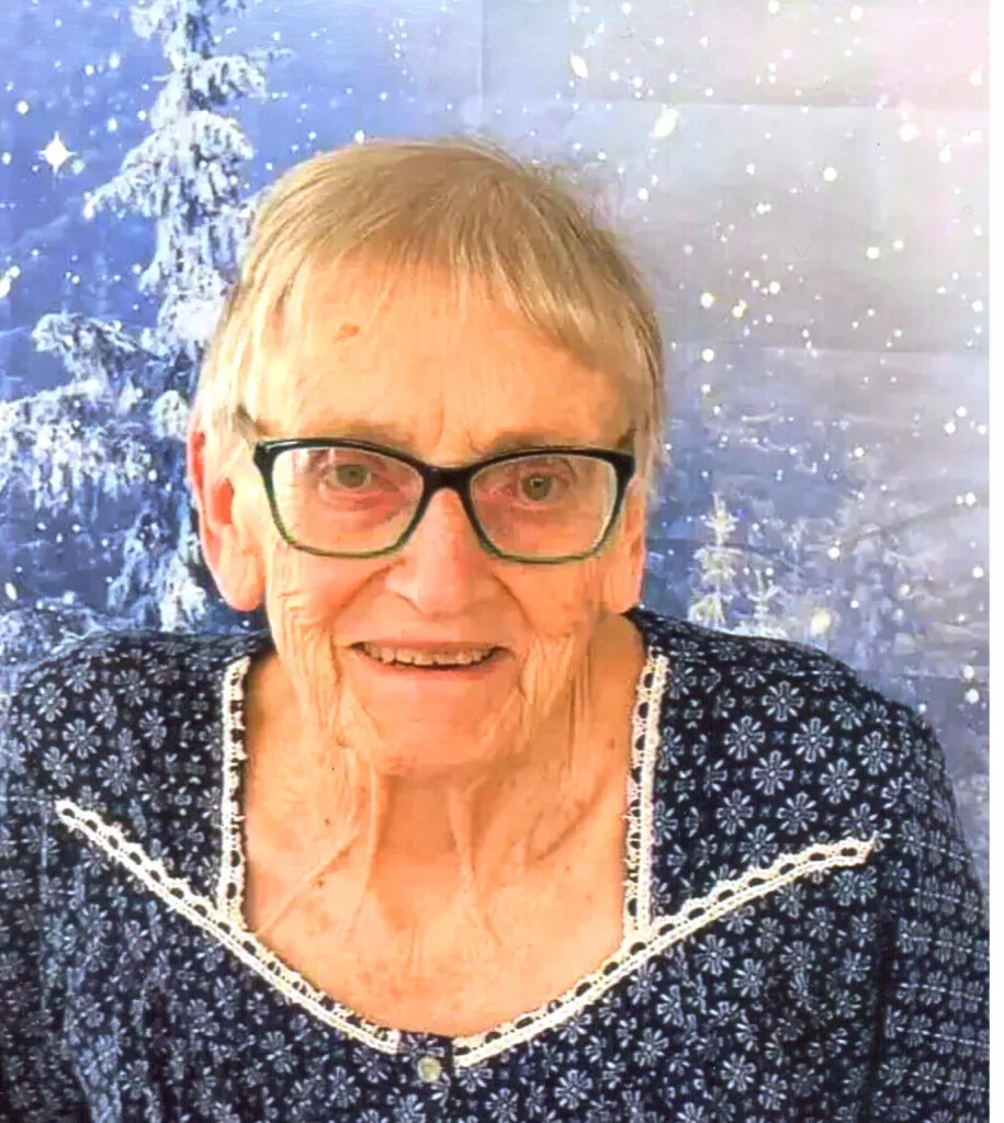 Amy L. Leslie, 89, Albion - Vimarsana News