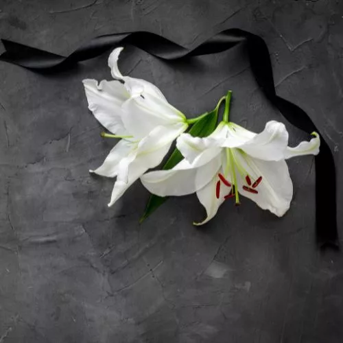 Kyle L. Wallace - Vimarsana News